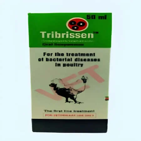 Triberssen