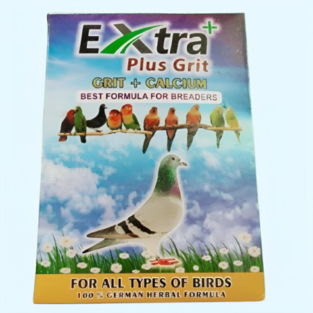 Extra Plus Grit 800gm