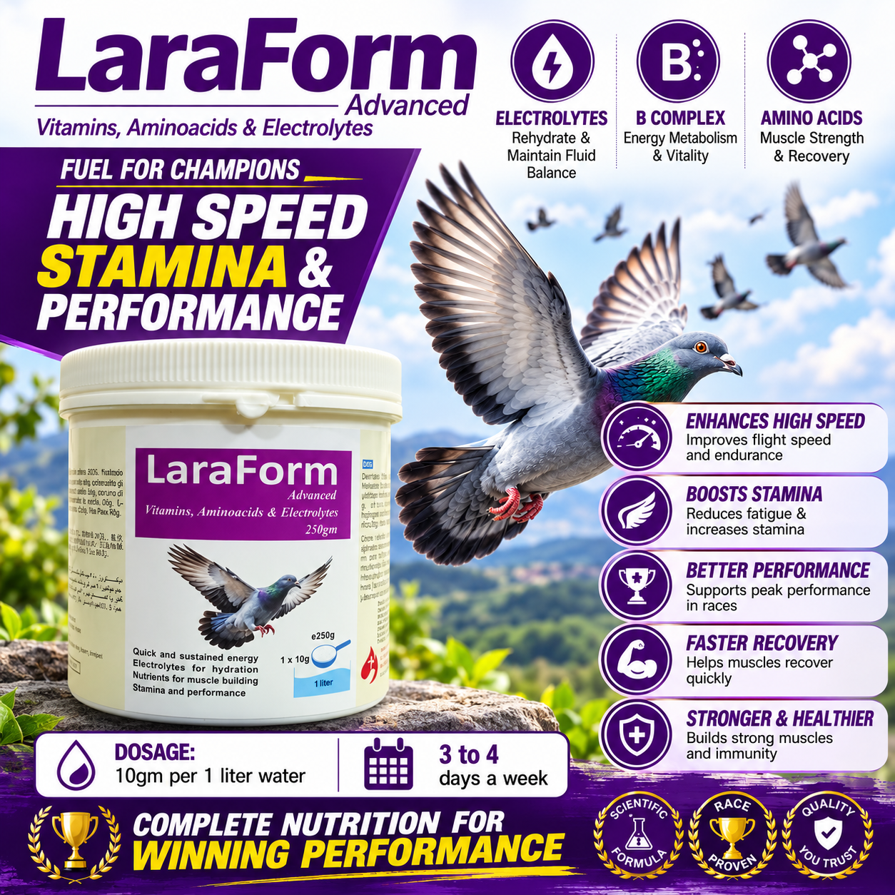 Lara Form Racing Pigeon