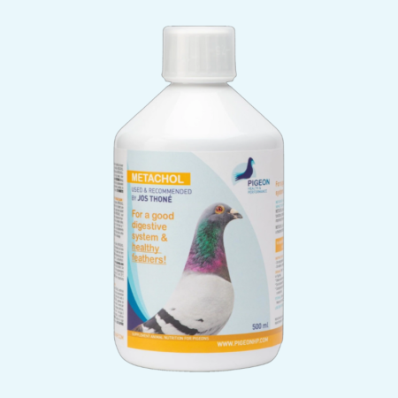 Methachol 500ml
