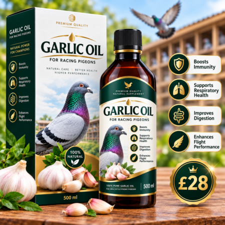 Garlic Oil