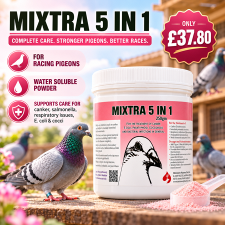 Mixtra 5 in 1