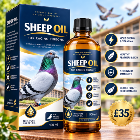 Sheep Oil
